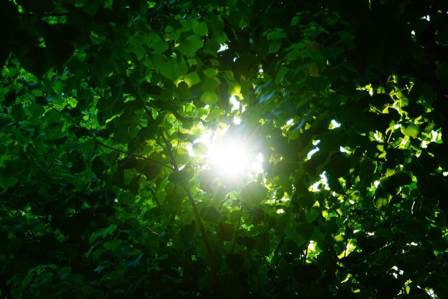 Licht am Ende des Tunnels